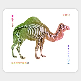 Bazaar Zoo - Electric Camel Sticker